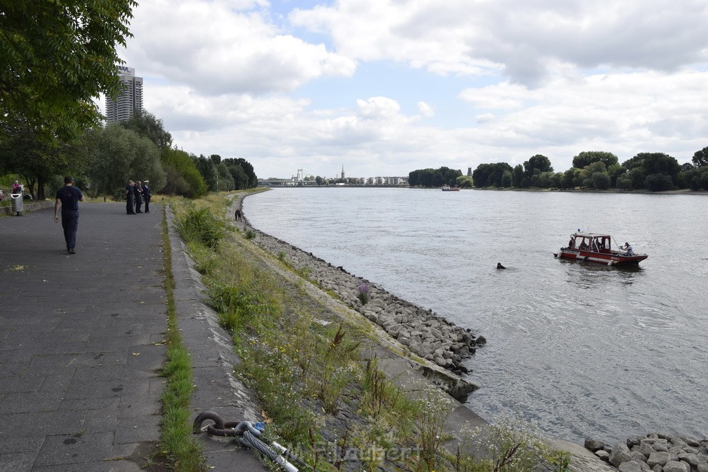 Uebung BF Taucher und Presse Koeln Zoobruecke Rhein P357.JPG - Miklos Laubert